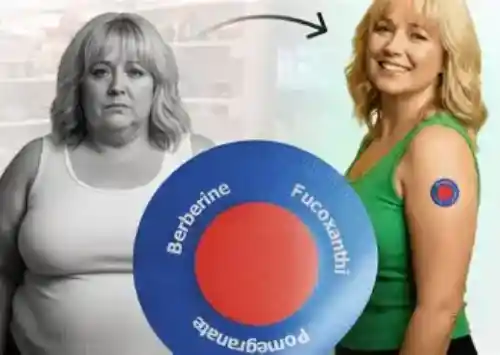 Detailed conceptual illustration defining the mechanism of transdermal berberine absorption for cellular energy optimization.
